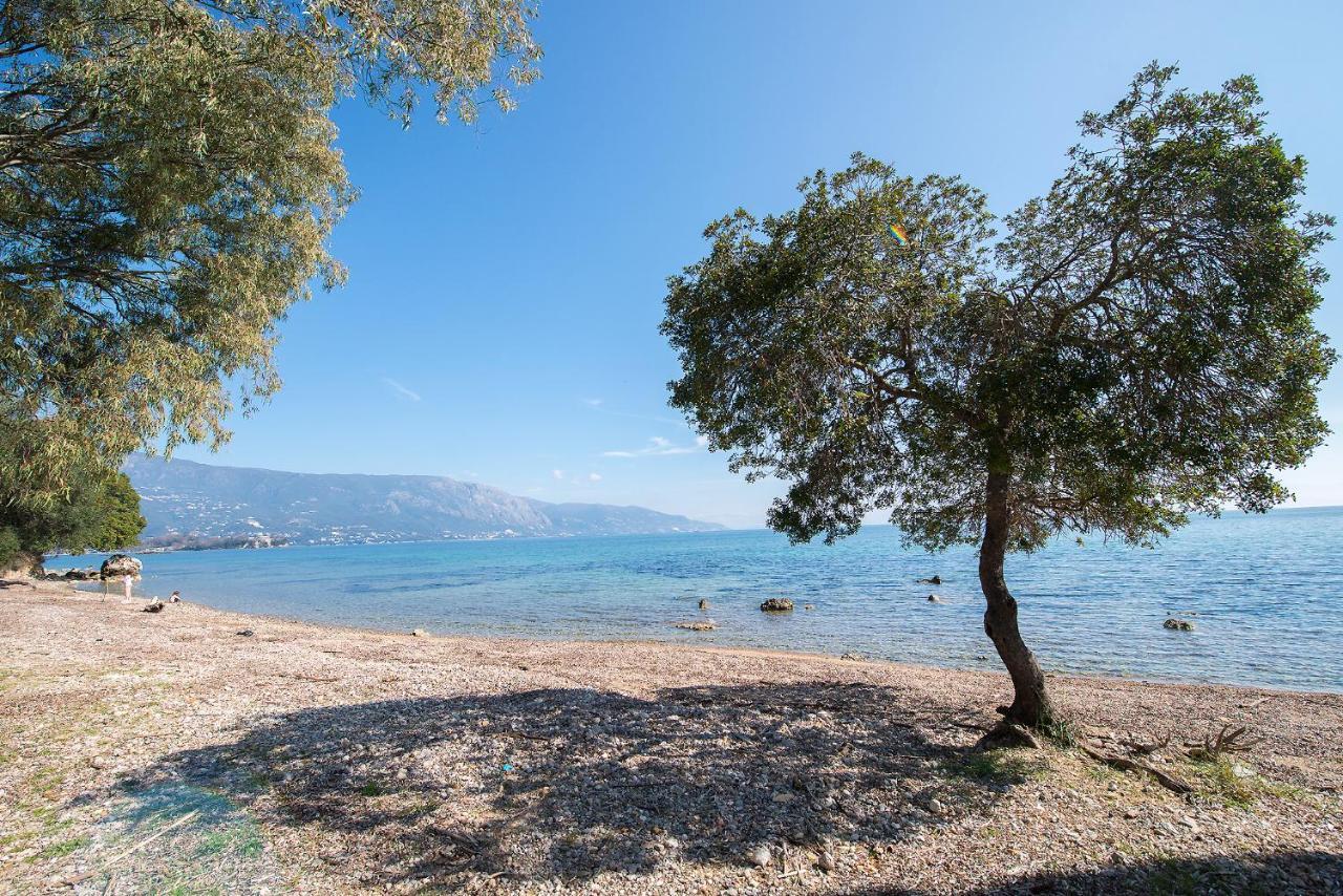 Spyrelia Villa With Private Pool & Outdoor Hot Tub Dassia  Buitenkant foto